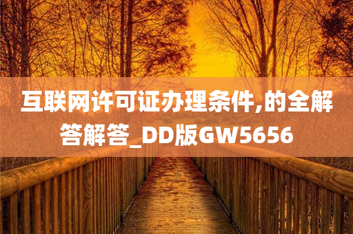 互联网许可证办理条件,的全解答解答_DD版GW5656