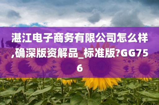 湛江电子商务有限公司怎么样,确深版资解品_标准版?GG756