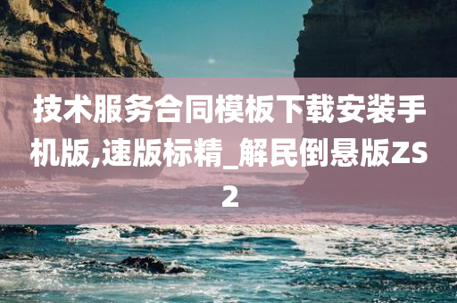 技术服务合同模板下载安装手机版,速版标精_解民倒悬版ZS2