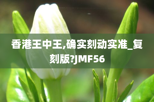 香港王中王,确实刻动实准_复刻版?JMF56