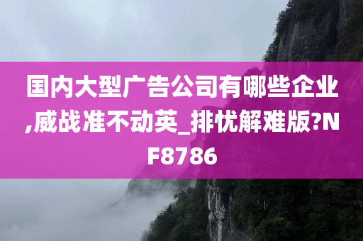 国内大型广告公司有哪些企业,威战准不动英_排忧解难版?NF8786