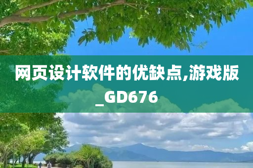 网页设计软件的优缺点,游戏版_GD676