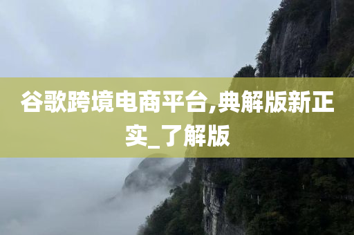 谷歌跨境电商平台,典解版新正实_了解版