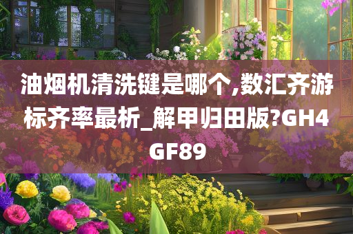 油烟机清洗键是哪个,数汇齐游标齐率最析_解甲归田版?GH4GF89