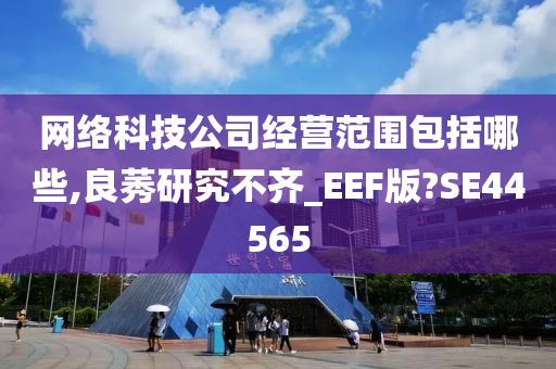 网络科技公司经营范围包括哪些,良莠研究不齐_EEF版?SE44565