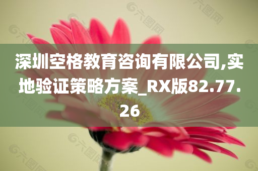 深圳空格教育咨询有限公司,实地验证策略方案_RX版82.77.26