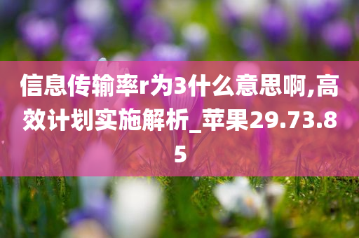 信息传输率r为3什么意思啊,高效计划实施解析_苹果29.73.85