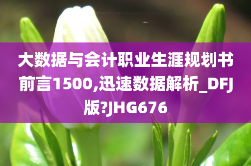 大数据与会计职业生涯规划书前言1500,迅速数据解析_DFJ版?JHG676