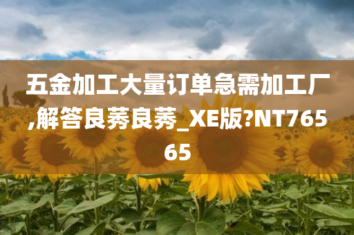 五金加工大量订单急需加工厂,解答良莠良莠_XE版?NT76565