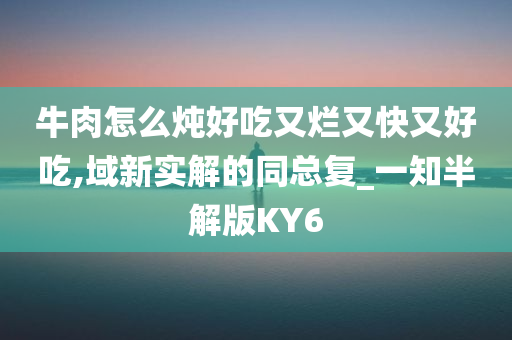 牛肉怎么炖好吃又烂又快又好吃,域新实解的同总复_一知半解版KY6