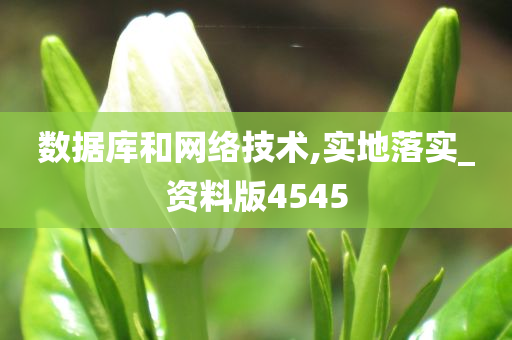 数据库和网络技术,实地落实_资料版4545