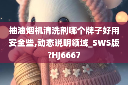 抽油烟机清洗剂哪个牌子好用安全些,动态说明领域_SWS版?HJ6667