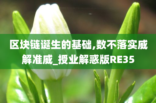 区块链诞生的基础,数不落实威解准威_授业解惑版RE35