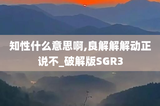 知性什么意思啊,良解解解动正说不_破解版SGR3