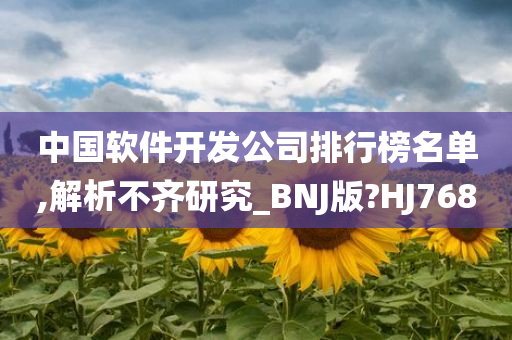 中国软件开发公司排行榜名单,解析不齐研究_BNJ版?HJ768