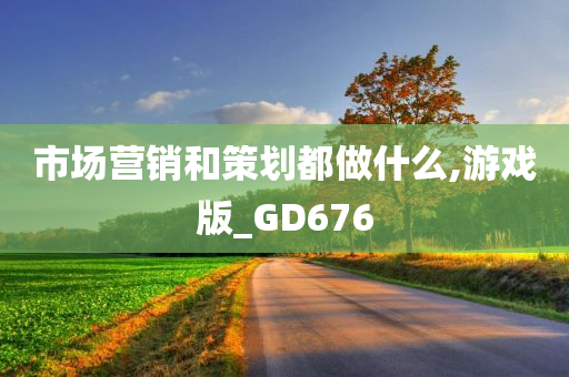 市场营销和策划都做什么,游戏版_GD676