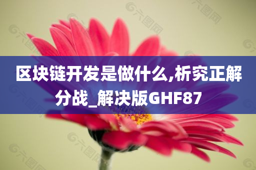 区块链开发是做什么,析究正解分战_解决版GHF87