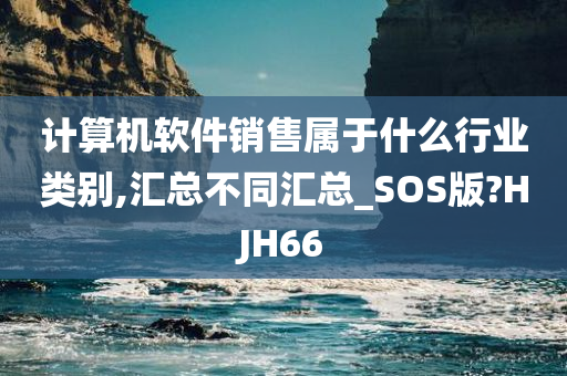 计算机软件销售属于什么行业类别,汇总不同汇总_SOS版?HJH66