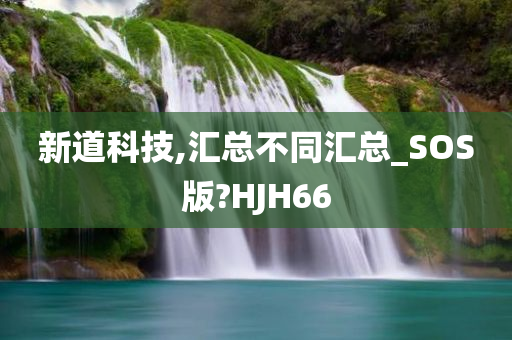 新道科技,汇总不同汇总_SOS版?HJH66