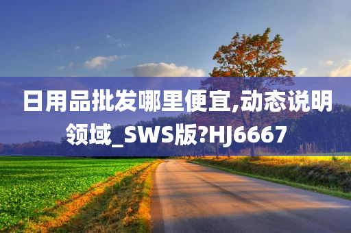 日用品批发哪里便宜,动态说明领域_SWS版?HJ6667