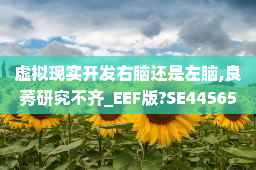 虚拟现实开发右脑还是左脑,良莠研究不齐_EEF版?SE44565