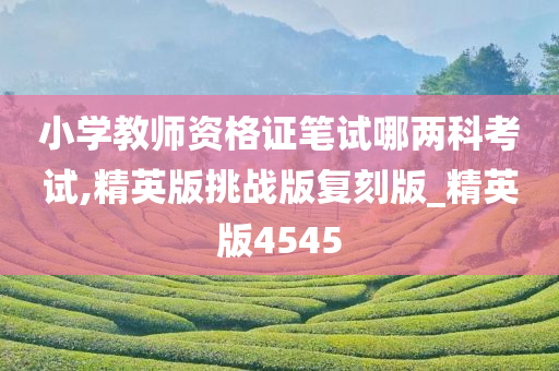 小学教师资格证笔试哪两科考试,精英版挑战版复刻版_精英版4545