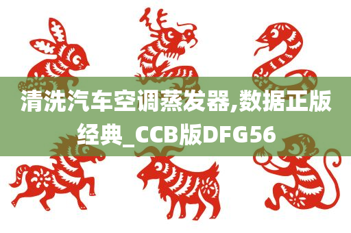 清洗汽车空调蒸发器,数据正版经典_CCB版DFG56