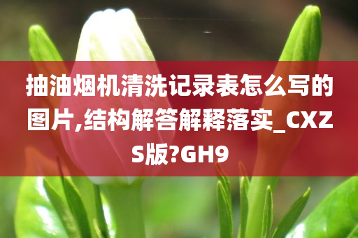 抽油烟机清洗记录表怎么写的图片,结构解答解释落实_CXZS版?GH9