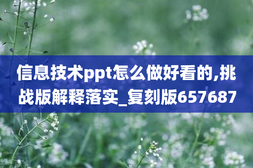 信息技术ppt怎么做好看的,挑战版解释落实_复刻版657687