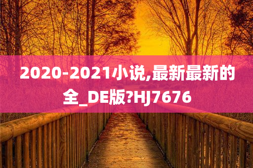 2020-2021小说,最新最新的全_DE版?HJ7676