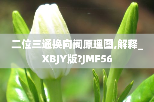 二位三通换向阀原理图,解释_XBJY版?JMF56