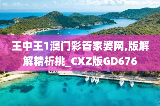 王中王1澳门彩管家婆网,版解解精析挑_CXZ版GD676