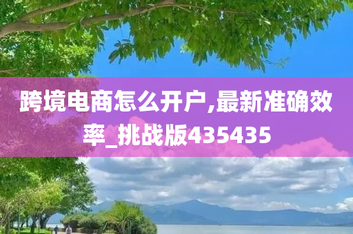 跨境电商怎么开户,最新准确效率_挑战版435435