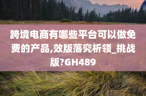 跨境电商有哪些平台可以做免费的产品,效版落究析领_挑战版?GH489