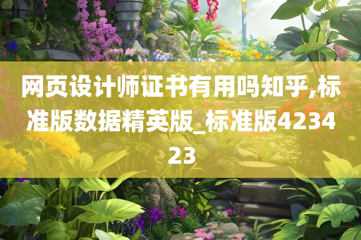 网页设计师证书有用吗知乎,标准版数据精英版_标准版423423