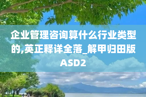 企业管理咨询算什么行业类型的,英正释详全落_解甲归田版ASD2