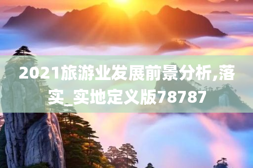 2021旅游业发展前景分析,落实_实地定义版78787