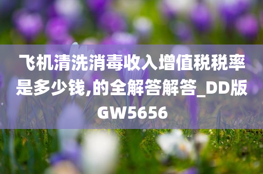 飞机清洗消毒收入增值税税率是多少钱,的全解答解答_DD版GW5656