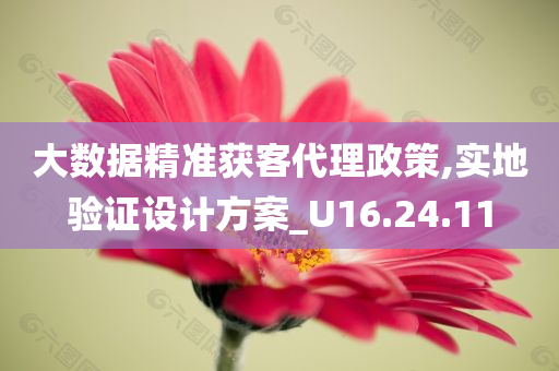 大数据精准获客代理政策,实地验证设计方案_U16.24.11