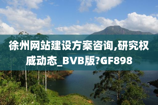 徐州网站建设方案咨询,研究权威动态_BVB版?GF898