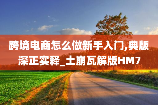 跨境电商怎么做新手入门,典版深正实释_土崩瓦解版HM7