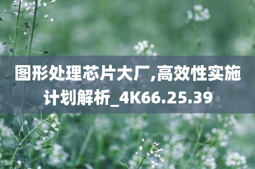 图形处理芯片大厂,高效性实施计划解析_4K66.25.39