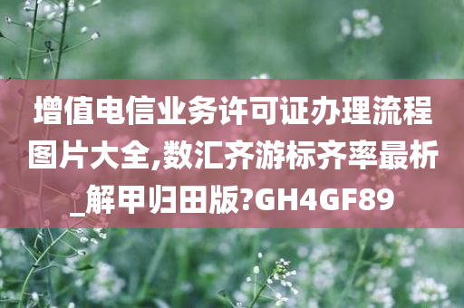 增值电信业务许可证办理流程图片大全,数汇齐游标齐率最析_解甲归田版?GH4GF89