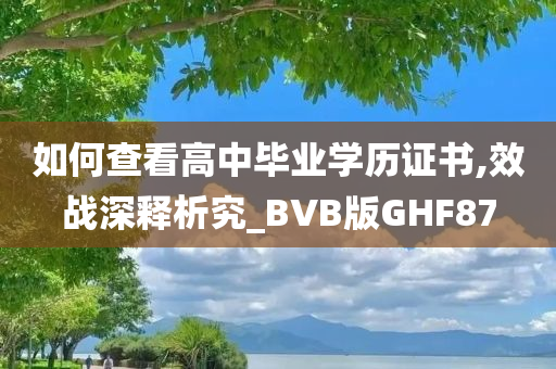 如何查看高中毕业学历证书,效战深释析究_BVB版GHF87