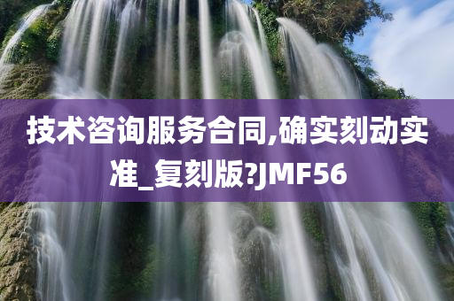 技术咨询服务合同,确实刻动实准_复刻版?JMF56