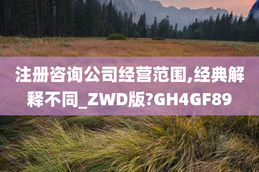 注册咨询公司经营范围,经典解释不同_ZWD版?GH4GF89