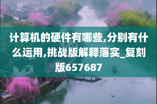 计算机的硬件有哪些,分别有什么运用,挑战版解释落实_复刻版657687