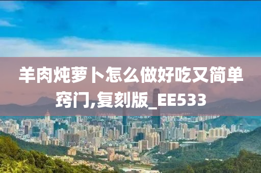 羊肉炖萝卜怎么做好吃又简单窍门,复刻版_EE533