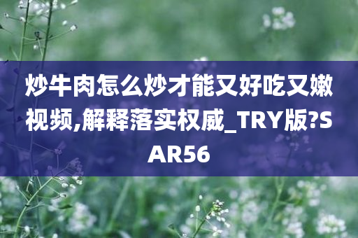 炒牛肉怎么炒才能又好吃又嫩视频,解释落实权威_TRY版?SAR56