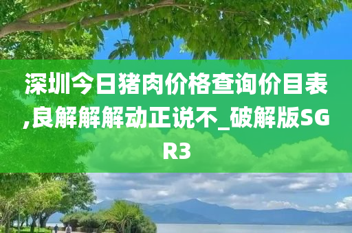 深圳今日猪肉价格查询价目表,良解解解动正说不_破解版SGR3